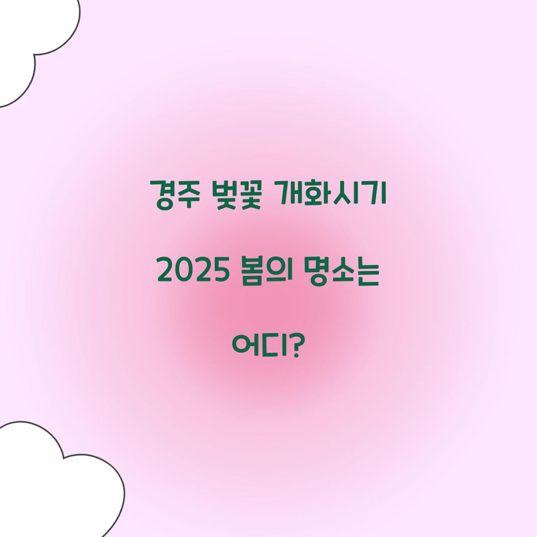 경주 벚꽃 개화시기 2025