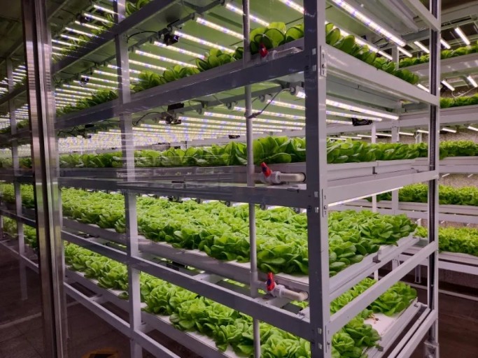 스마트농업 기술발전과 미래