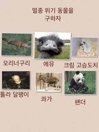 멸종 위기 동물 증가 원인과 환경 문제 분석_6