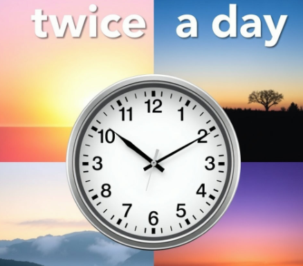 씨커트-복용법-성분-효과