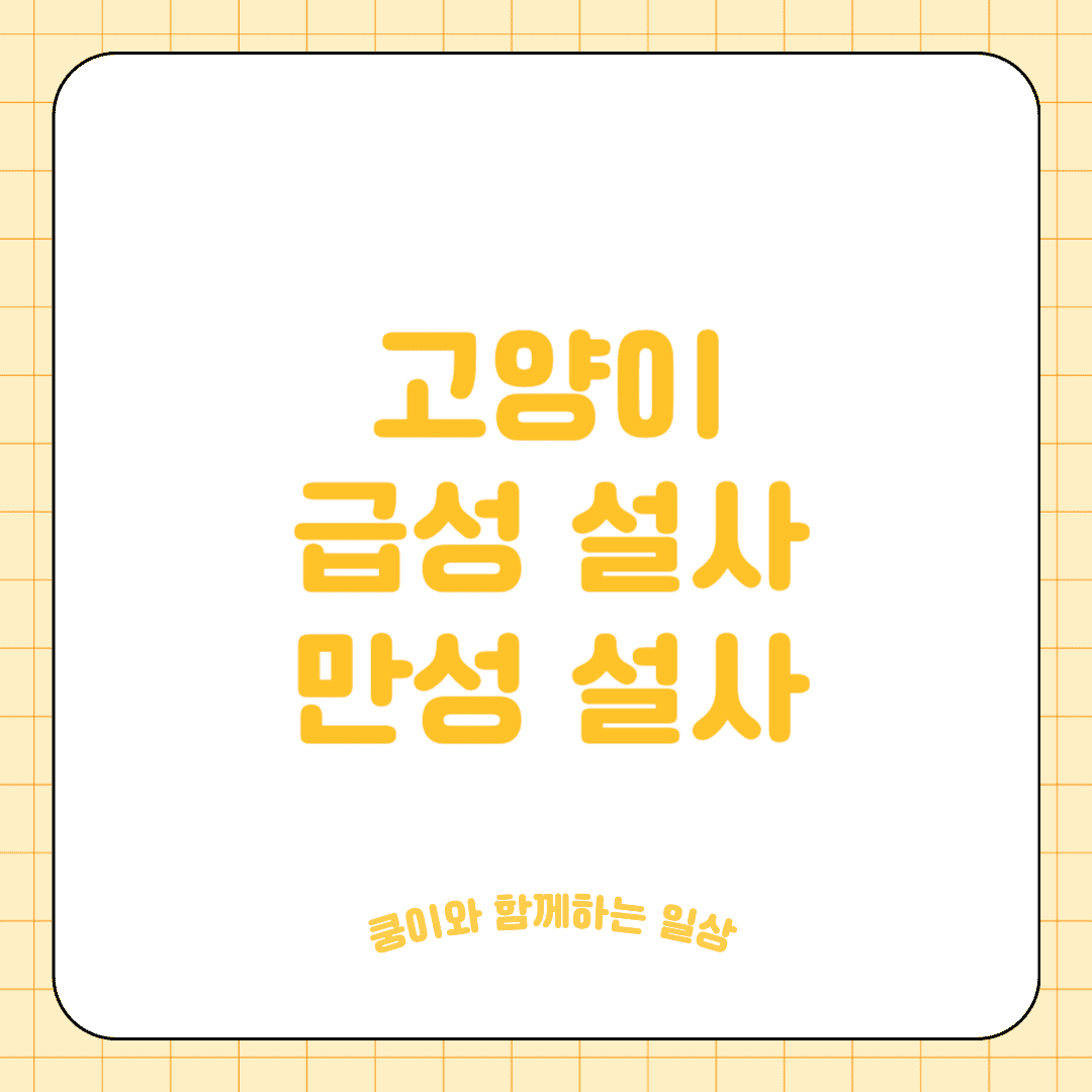 고양이 급성 설사 / 만성 설사