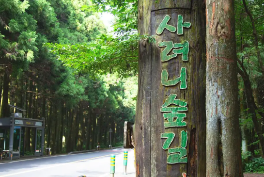 사려니숲길