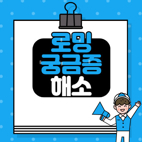 로밍