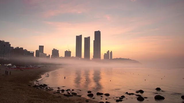 태안 신두리해수욕장 신두리해안사구 자연 풍경과 체험_2