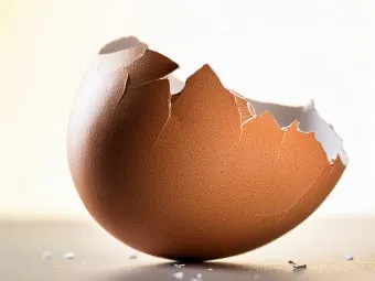 계란껍질 분말 토양개선 칼슘보충 사용요령 초보도 따라하기_12