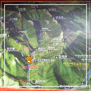 내장산지도