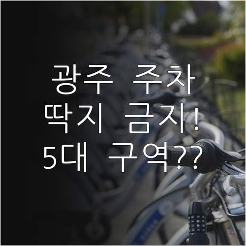 광주 주정차 단속 유예 시간 및 5대..