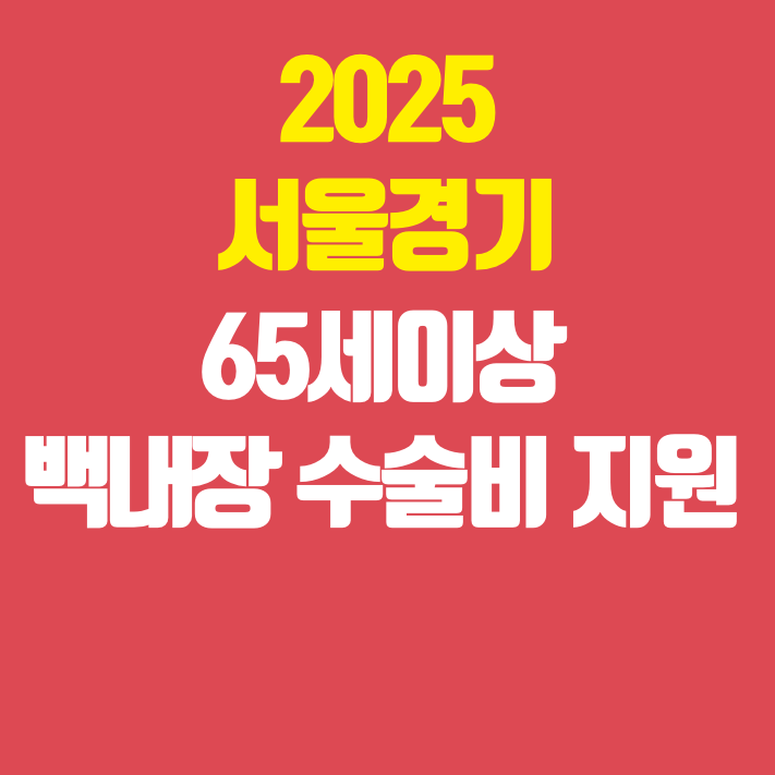 65세이상 백내장수술비