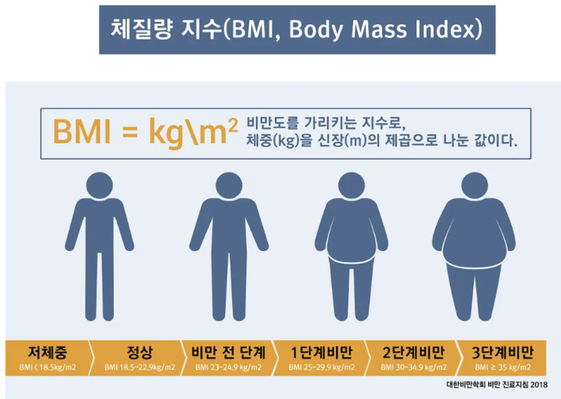 체질량지수
