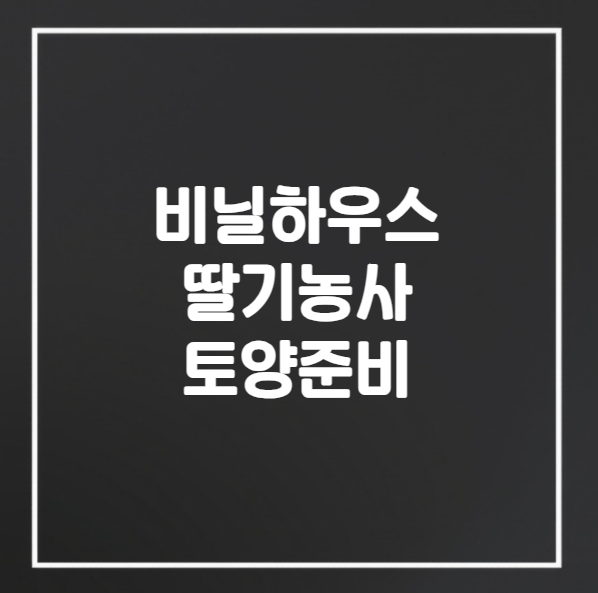 비닐하우스 딸기 농사 토양 준비