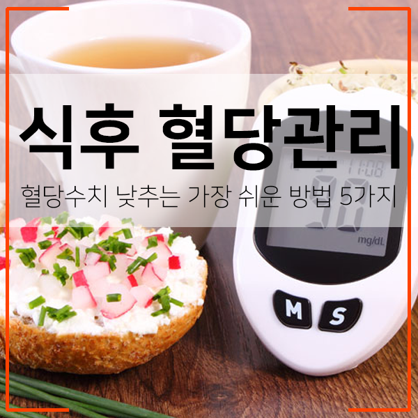 식후 혈당관리