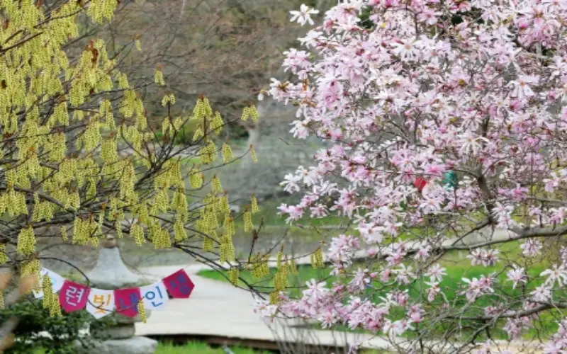 천리포수목원