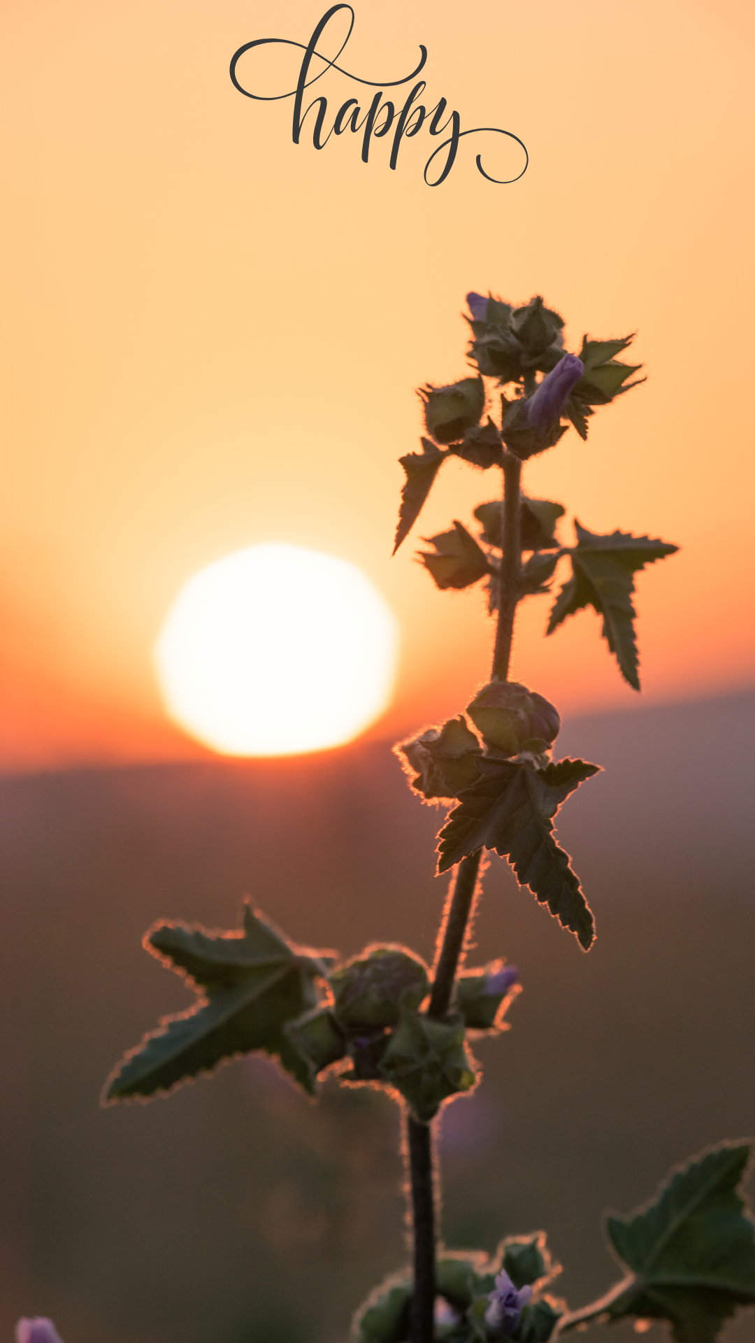 저녁노을 스마트폰 배경화면 이미지 사진