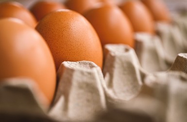 지방간에 좋은 음식10