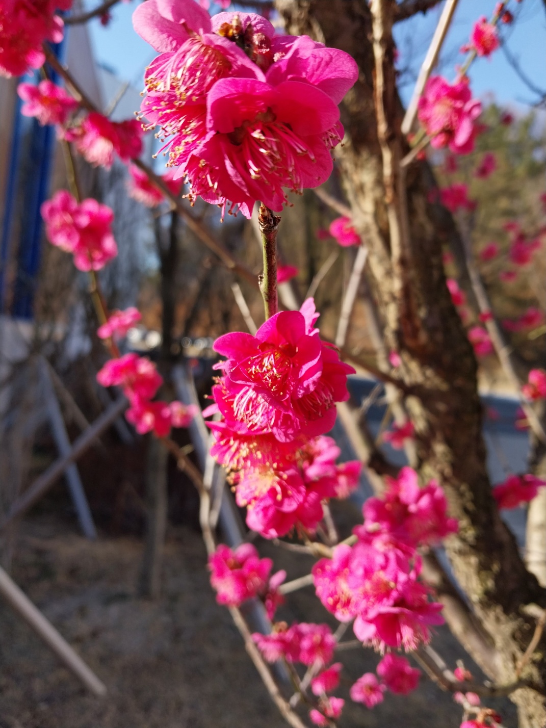 화담숲 어린이&middot;어르신 추천 코스 및 주차 꿀팁 총정리
