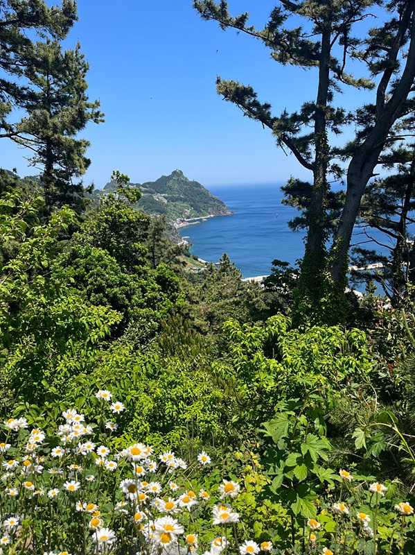 울릉도 카페 추천