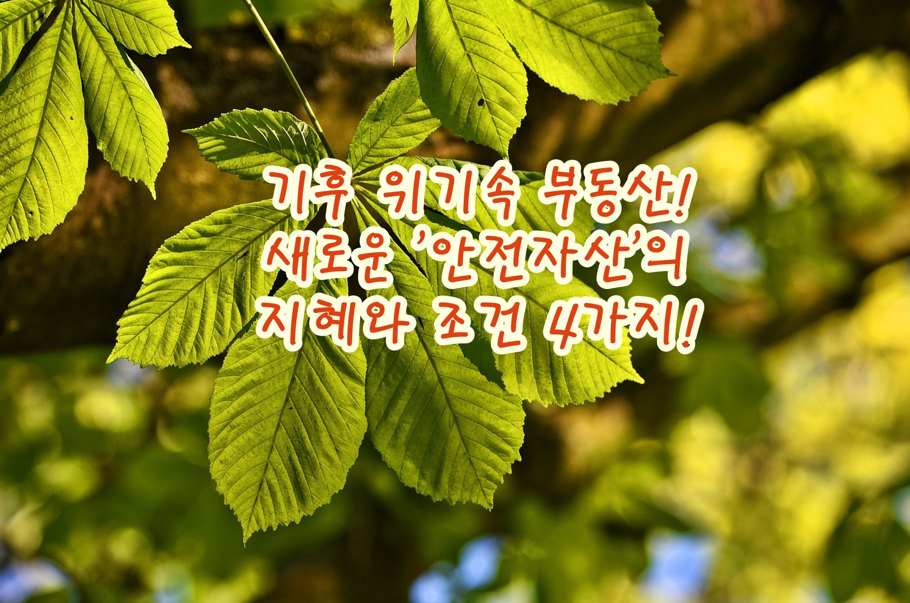 기후 위기속 부동산! 새로운 '안전자산'의 지혜와 조건 4가지!