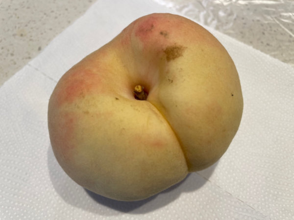 초파리 트랩에 더불어 초파리 예방을 위해 할 수 있는 일