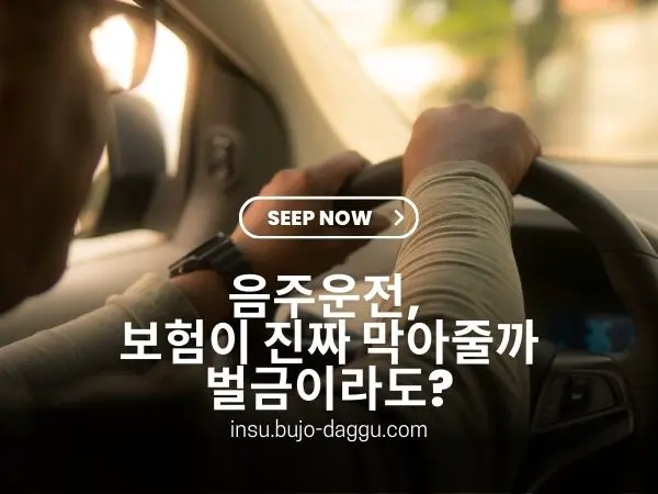 음주운전 보험 보장 범위 총정리