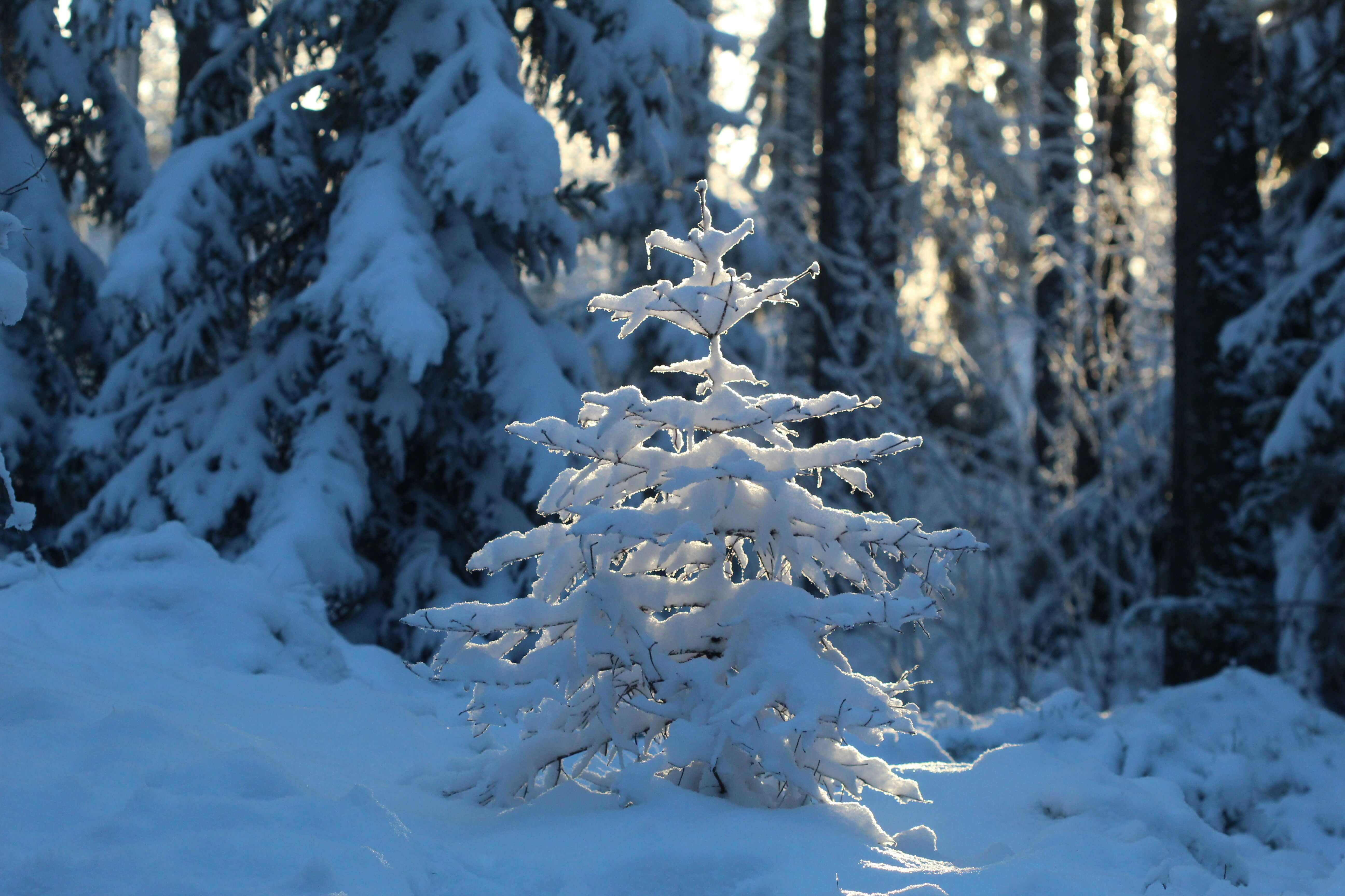 청년 직장인 2026 연말정산 미리보기로 두달만에 절세하기