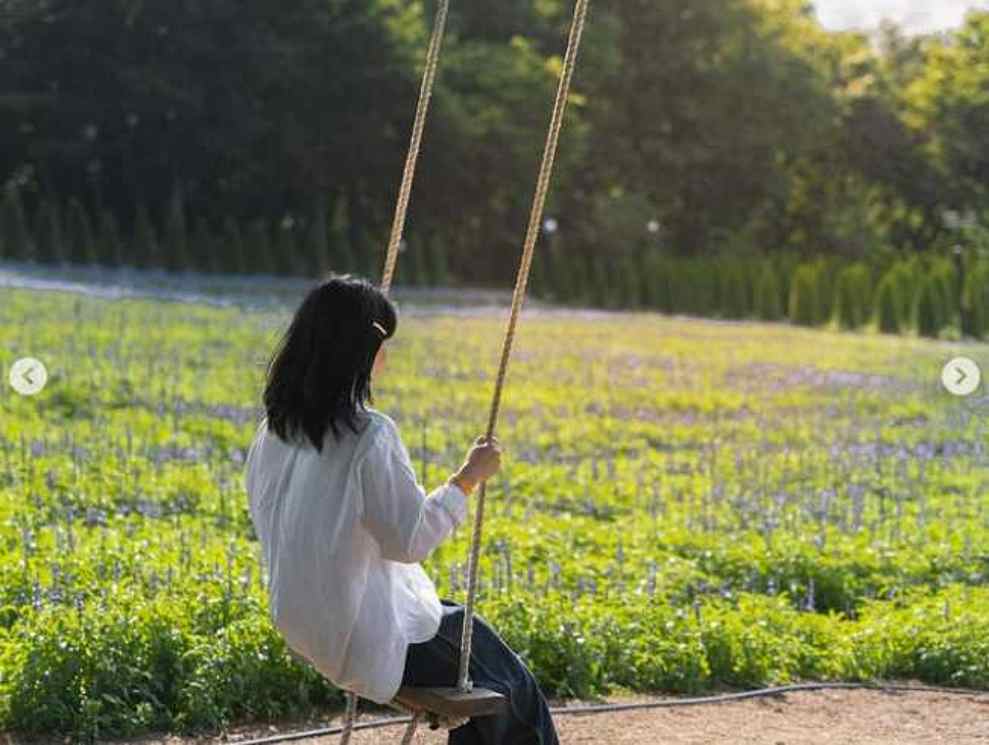 이월드 퍼플 아일랜드