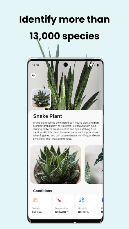 꽃 이름 찾기 어플, AI 식물 식별, 꽃, 나무 인식 및 이름 찾기, PlantCam