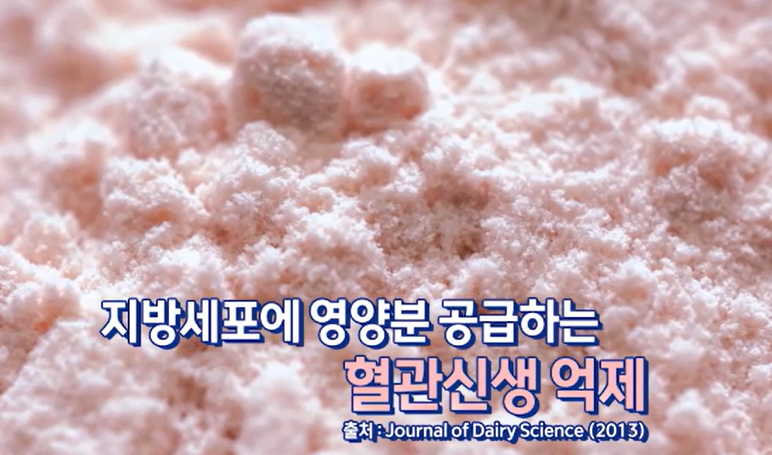 락토페린