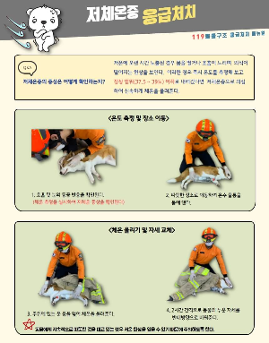 응급처치 메뉴얼