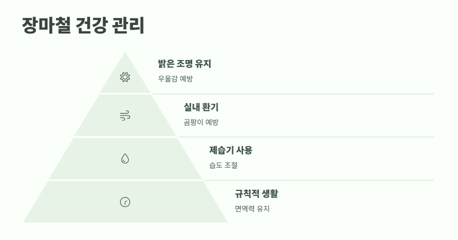2025년 장마기간 바로 보기 15
