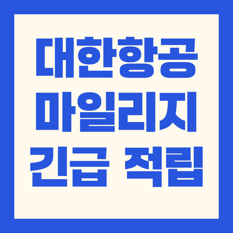대한항공 마일리지 긴급적립 대한항공카드