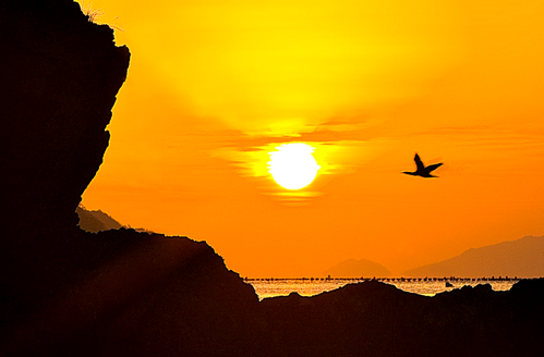 2023년 해돋이 명소