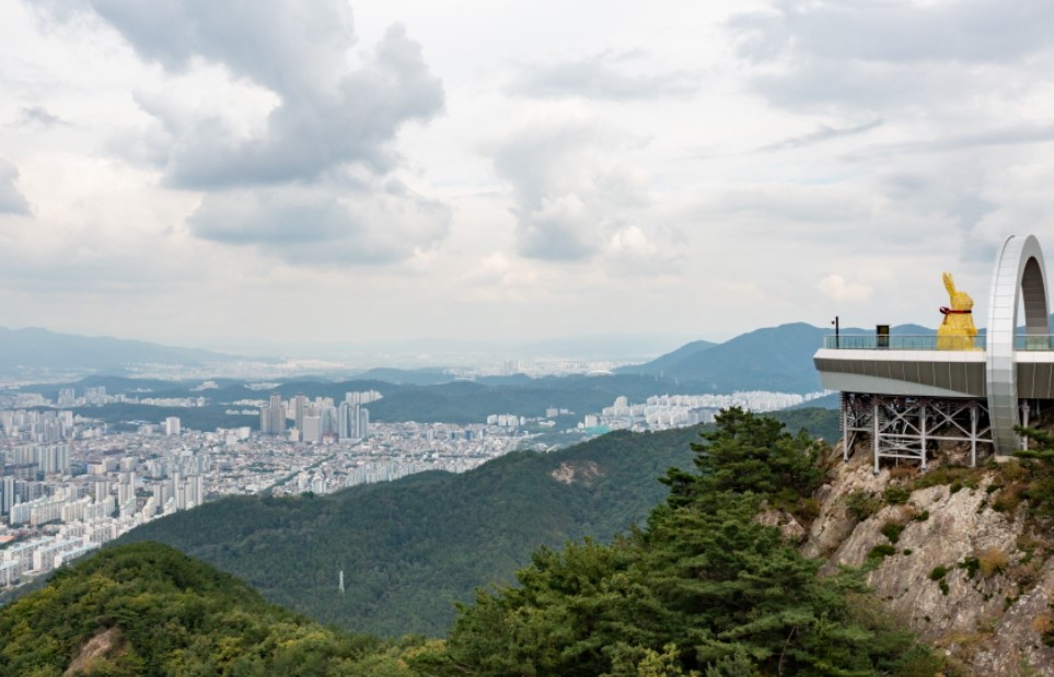 2025 대구로페이 실물카드 모바일 발급 신청 방법 완전 정리!