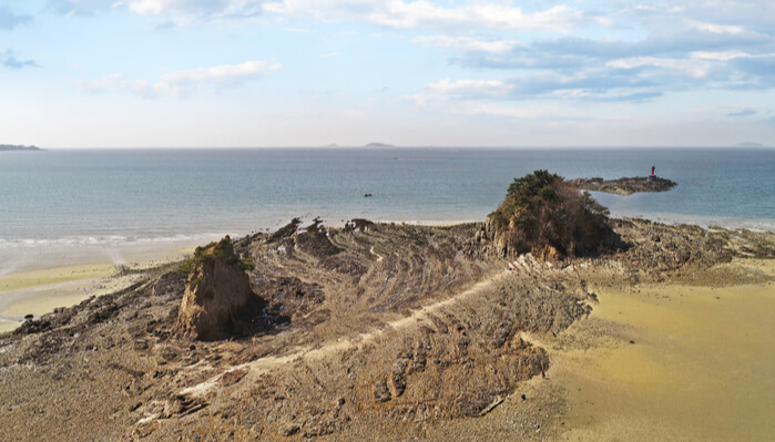 서해안 반려견 겨울 나들이 명소, 강아지와 함께 걷기 좋은 바다 산책