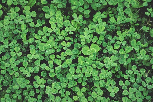 장병내일준비적금 가입 방법