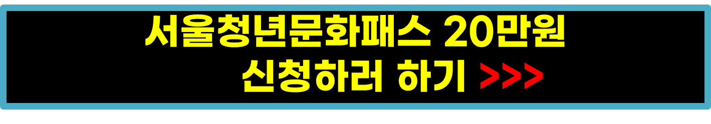 서울청년문화패스