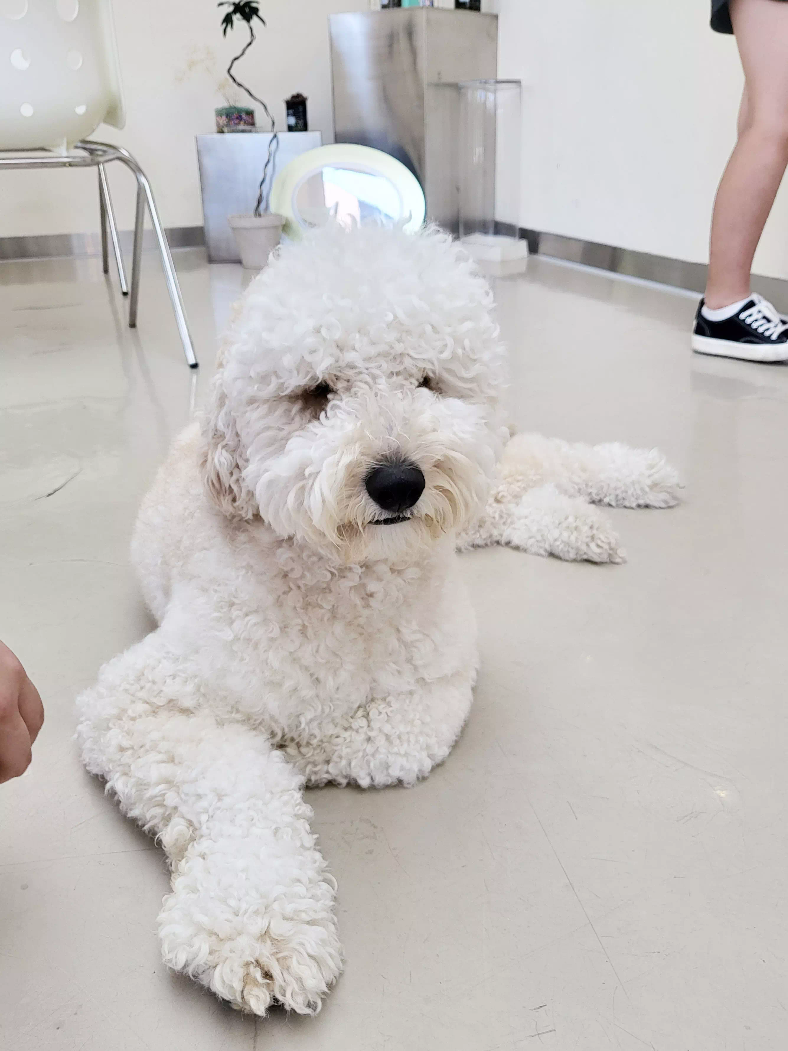 오후의 정면