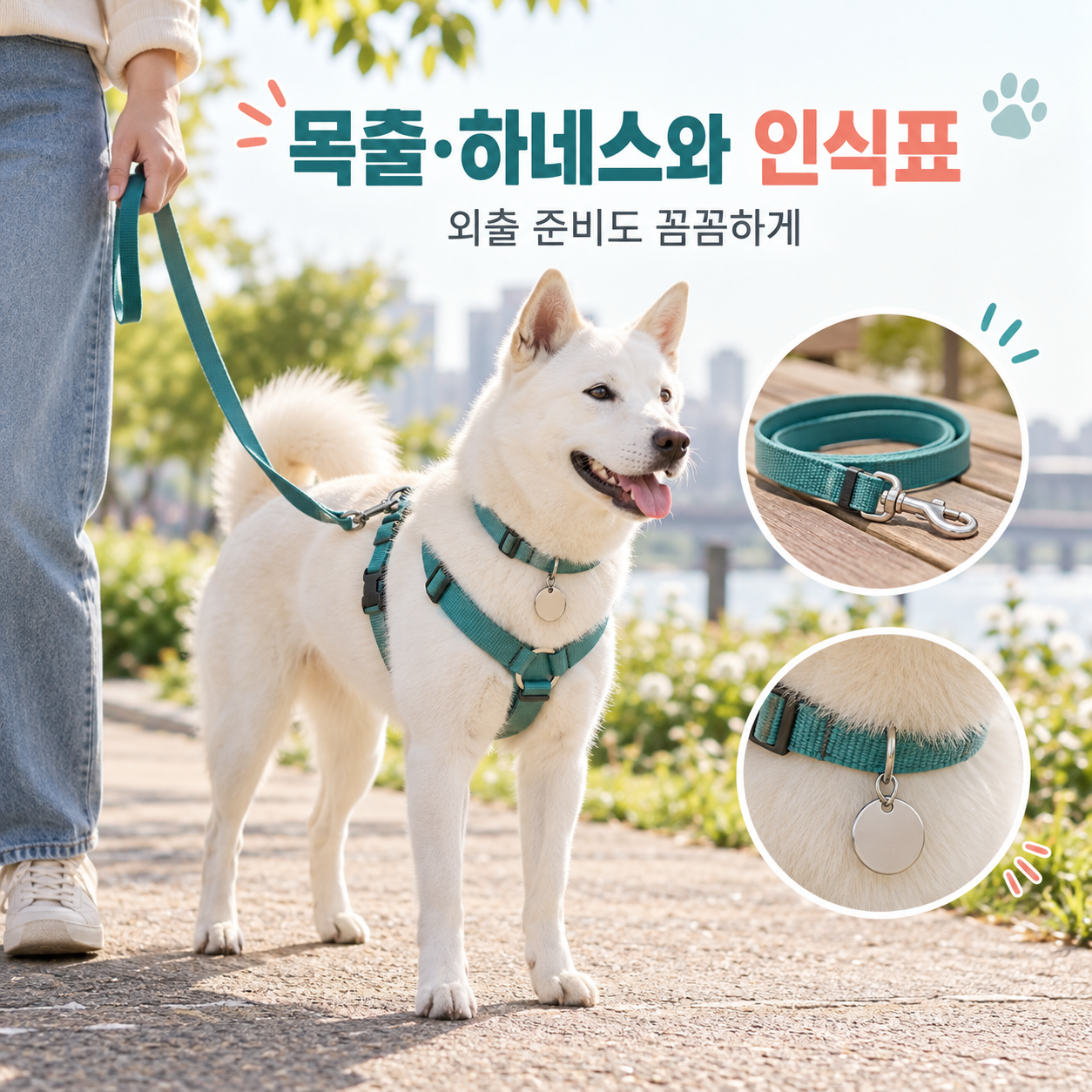 목줄&middot;하네스와 인식표