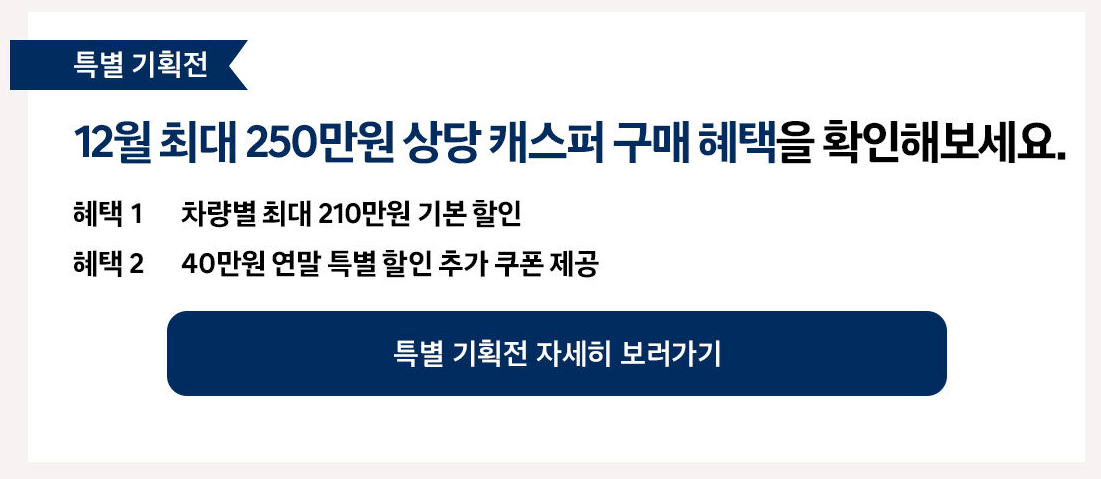 캐스퍼할인