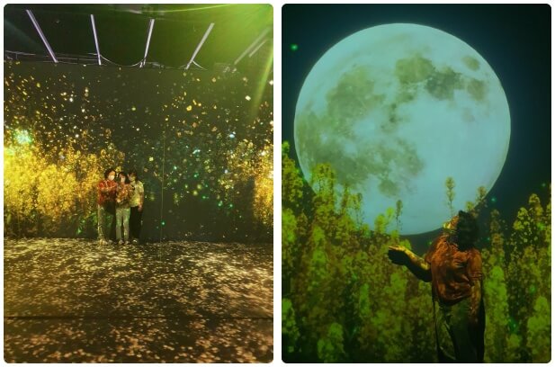 플라워와 만월 미디어아트