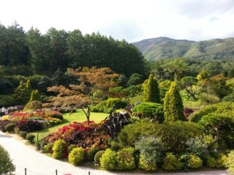 아침고요수목원