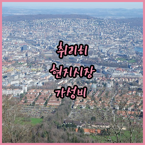 취리히 슈타인비제플라츠 시장 투어와 ..