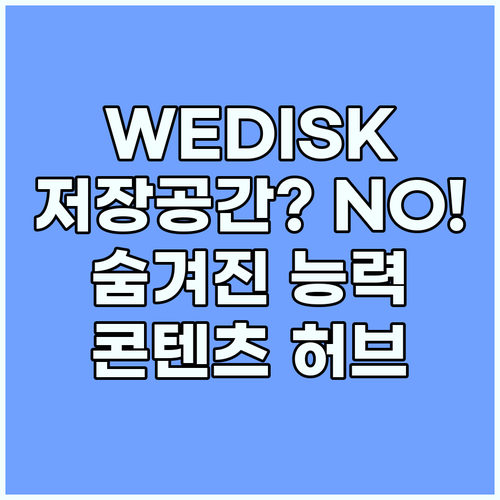 WEDISK, 단순한 저장 공간이 아..