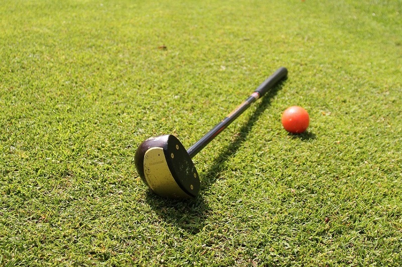 파크골프의 여러가지 빅데이터들 (2024년의 파크골프 성장)