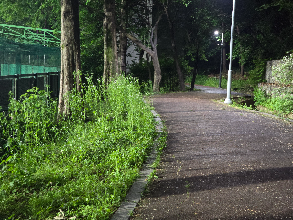 안양석수체육공원 사진