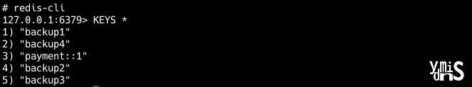 Redis CLI 무습이다.
