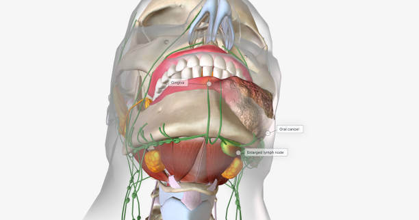 침샘비대증&amp;#44; 턱살이 많다면? 침샘보톡스 치료를 많이 진행하고 있습니다. 여자라면 한번쯤 사각보톡스 이름을 들어봤을 텐데요. 주기적으로 사각 보톡스를 맞는 사람들이 늘어나고 있습니다. 그렇다면 침샘비대증은 무엇이며 원인과 치료방법은 무엇인지 참고하시기 바랍니다.