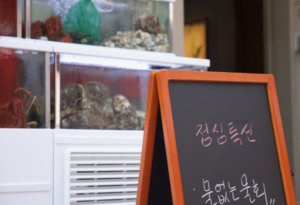-물없는물회-포항식
