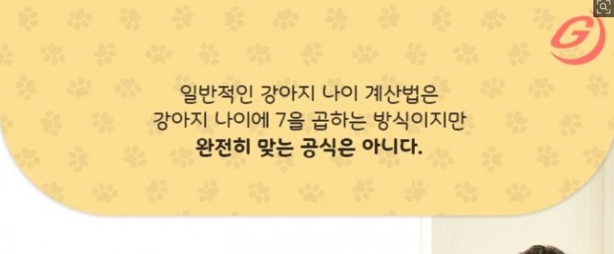 슬퍼 보이는 강아지