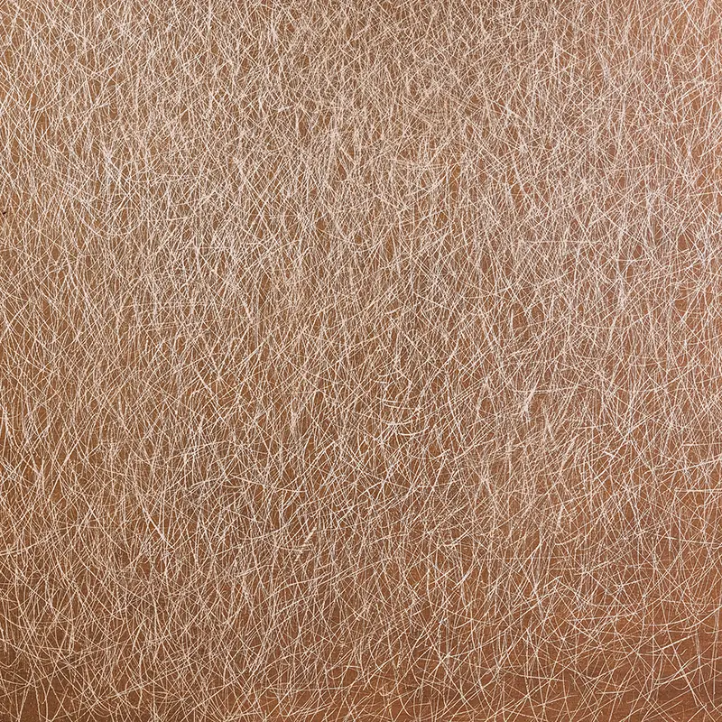 중년 여성 피부노화에 콜라겐 효과 있나요? 잡티까지 개선될까