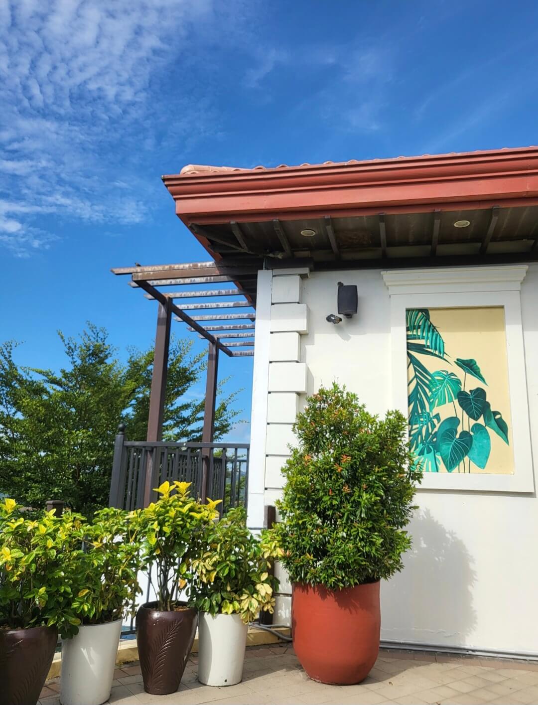 타가이타이 스타벅스 야외전경